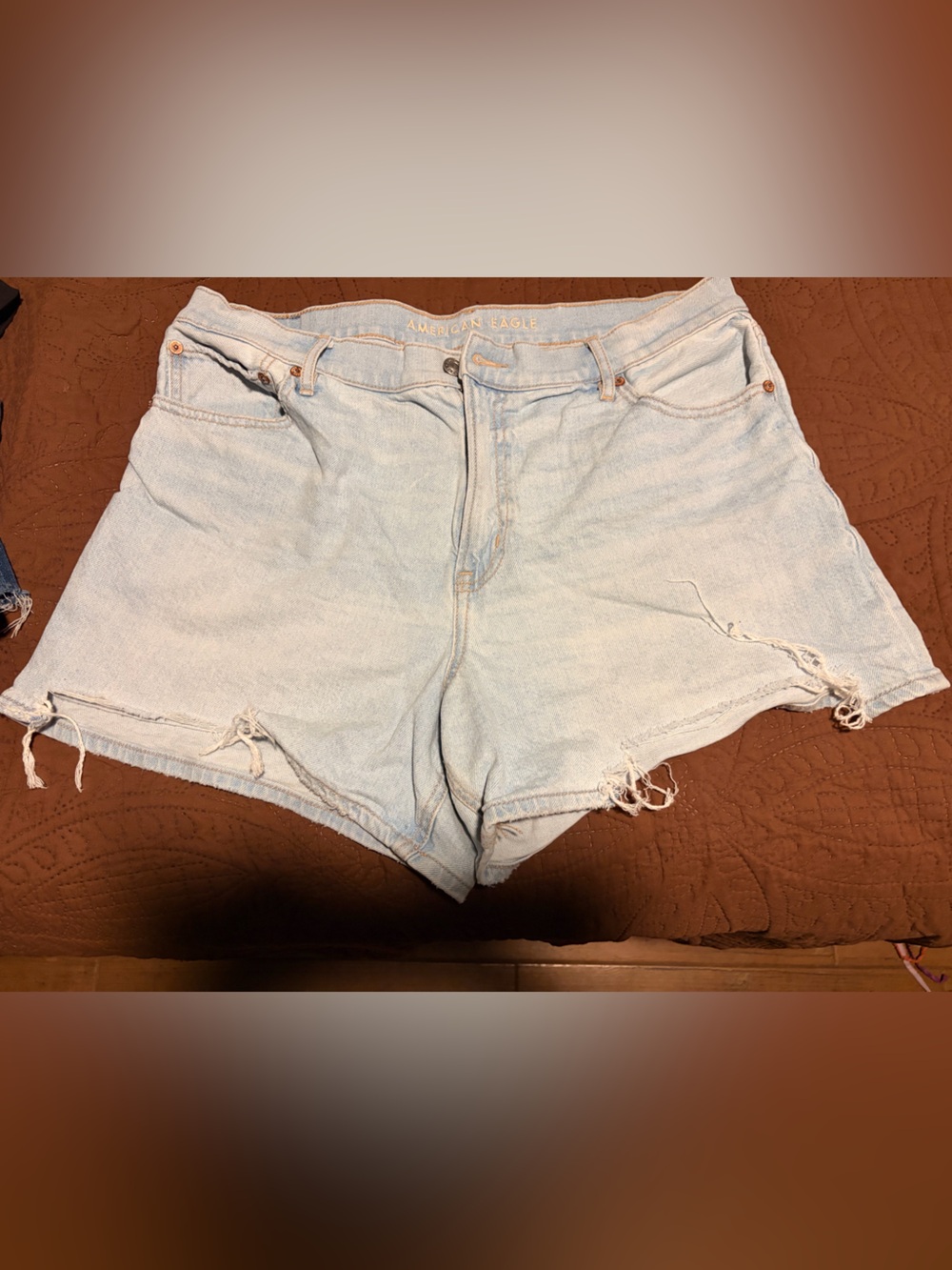 American Eagle Outfitters Light Wash Distressed Denim Shorts - Pale Blue